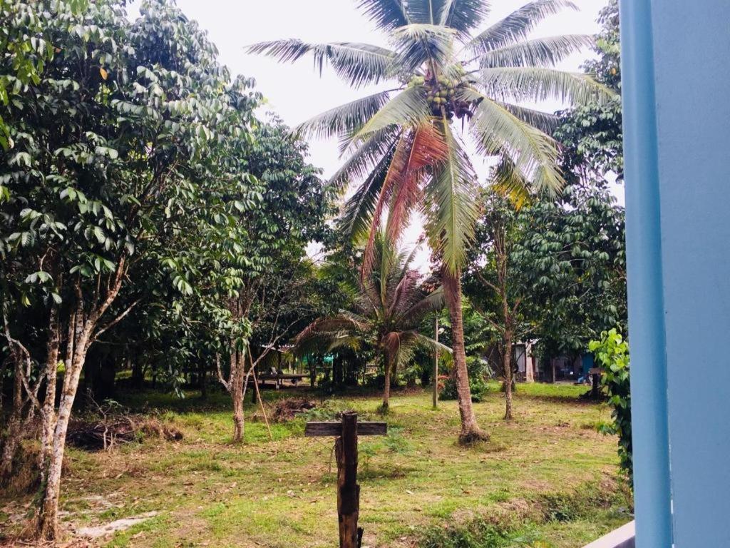 Baan Kalaya Garden Lägenhet Ban Mai Exteriör bild